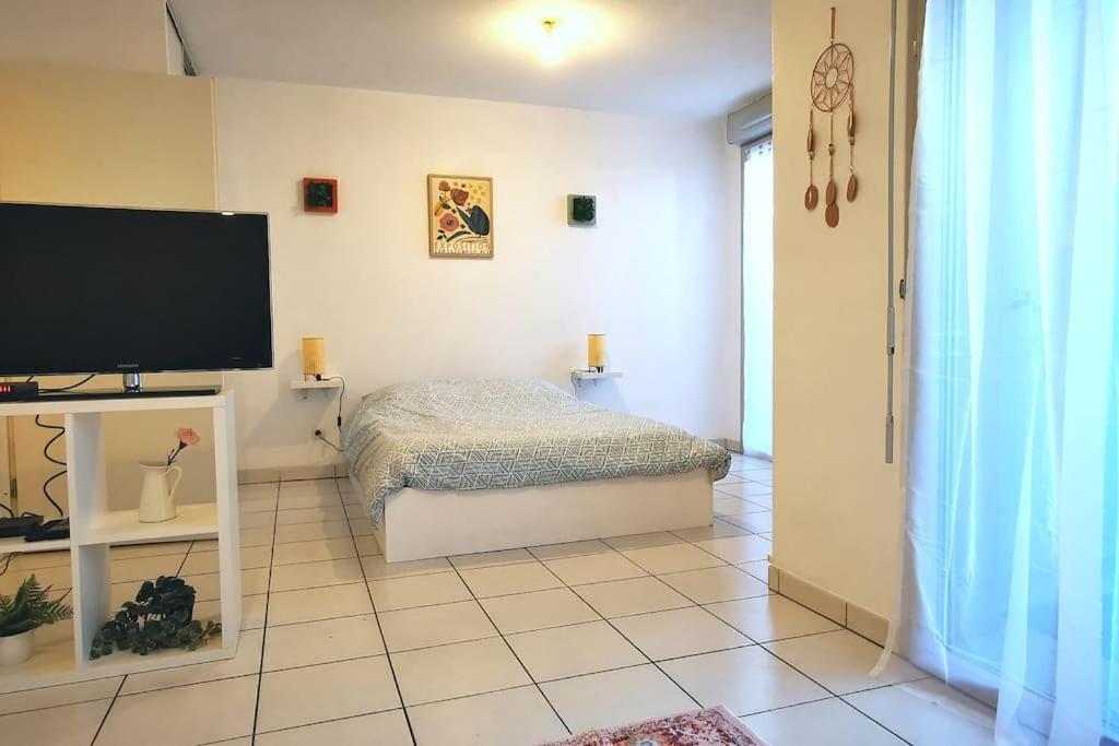 Grand Studio Lumineux Et Sa Terrasse Au Calme Toulouse Dış mekan fotoğraf