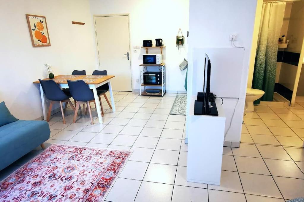 Grand Studio Lumineux Et Sa Terrasse Au Calme Toulouse Dış mekan fotoğraf