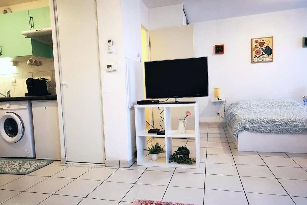 Grand Studio Lumineux Et Sa Terrasse Au Calme Toulouse Dış mekan fotoğraf